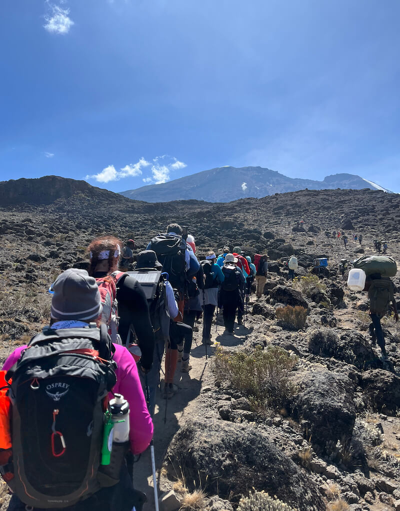 Kilimanjaro Trip 2022 The Physical Training Company Mountaineering